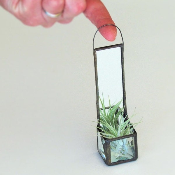 Mini Wall Hanging Air Plant Holder Mirror Clear Beveled Stained Glass Cubed Box Planter Black Patina
