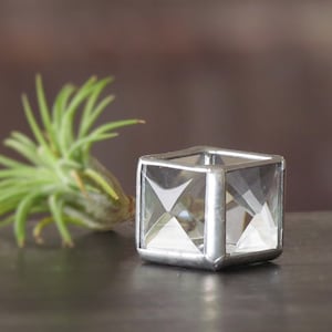 Peut inclure: Un cube en verre transparent avec un cadre argenté. Le cube est posé sur une surface gris foncé. Une petite plante verte est en arrière-plan.