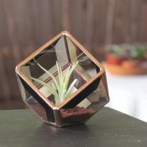 Geometric Air Plant Holder Stained Glass Terrarium Asymmetrical Brown Copper Color Cubed Box Vase Neutral Decor Handmade in Canada