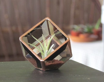 Geometric Air Plant Holder Stained Glass Terrarium Asymmetrical Brown Copper Color Cubed Box Vase Neutral Decor Handmade in Canada