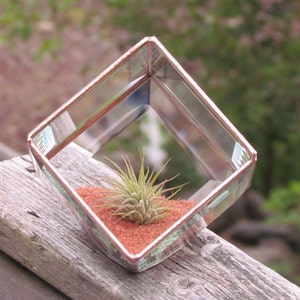 Geometric Air Plant Holder Stained Glass Terrarium Asymmetrical Glass Cubed Box Vase Clear Copper Colors Handmade in Canada image 5