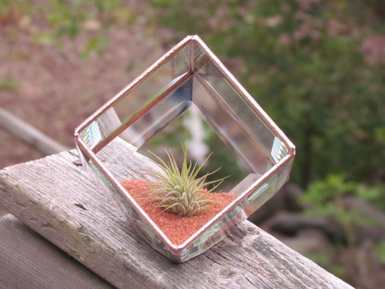 Geometric Air Plant Holder Stained Glass Terrarium Asymmetrical Glass Cubed Box Vase Clear Copper Colors Handmade in Canada image 5