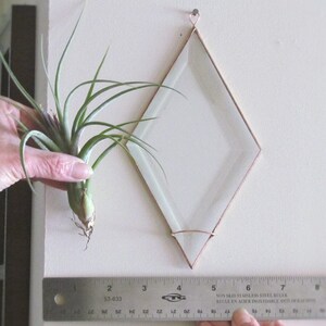 Geometric Air Plant Holder Diamond Shaped Beveled Glass Wall Hanging Plant Holder Clear and Copper Colored Wall Decor Made in Canada image 4