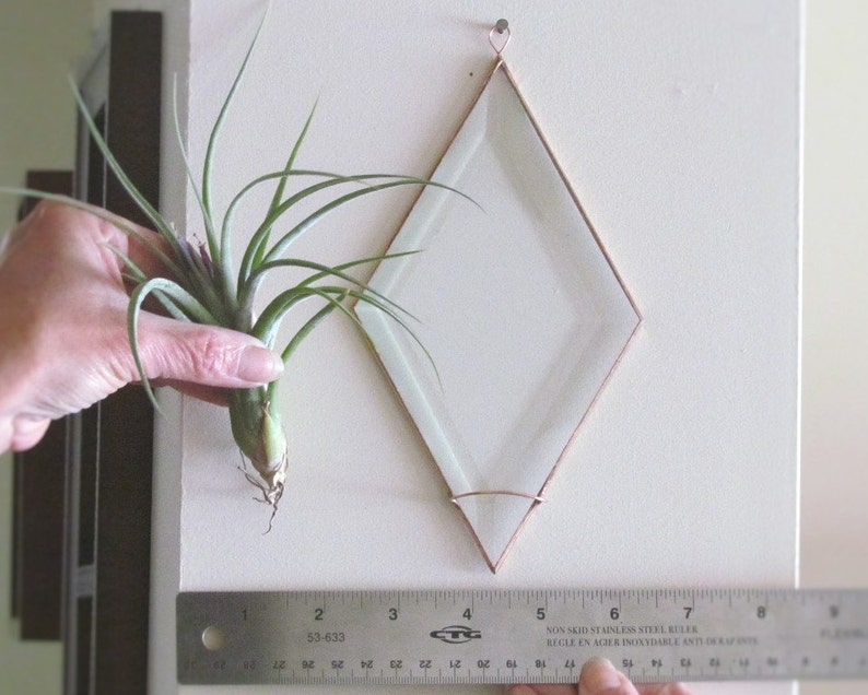 Geometric Air Plant Holder Diamond Shaped Beveled Glass Wall Hanging Plant Holder Clear and Copper Colored Wall Decor Made in Canada image 4