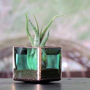 Air Plant Holder Green Beveled Stained Glass Terrarium Cubed Glass Box Plant Holder Made in Canada