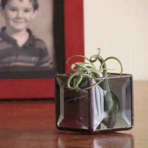 Air Plant Holder, Smoky Gray Beveled Stained Glass Terrarium, Grey Cubed Glass Box Planter, Handcrafted in Canada image 4