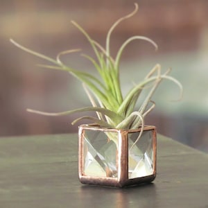 Mini Air Plant Holder Stained Glass Terrarium Cubed Glass Clear Copper Colored Box Planter