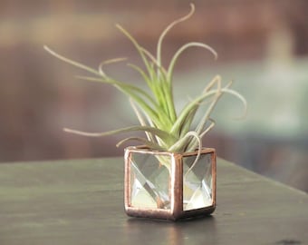 Mini Air Plant Holder Vitrail Terrarium Cubed Glass Clear Copper Colored Box Planter