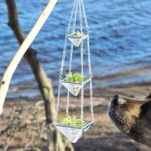 Air Plant Holder Mini 3 Tiered Faceted Clear Stained Glass Hanging Terrarium image 4