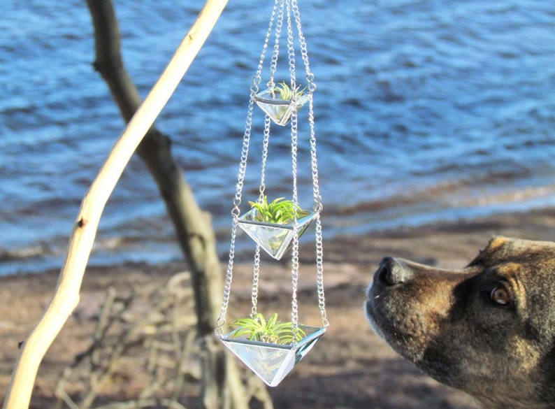 Air Plant Holder Mini 3 Tiered Faceted Clear Stained Glass Hanging Terrarium image 4