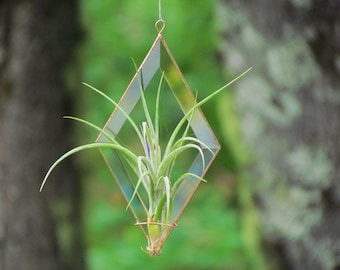 Geometric Air Plant Holder Diamond Shaped Beveled Glass Wall Hanging Plant Holder Clear and Copper Colored Wall Decor Made in Canada