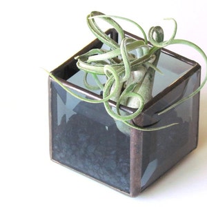 Air Plant Holder, Smoky Gray Beveled Stained Glass Terrarium, Grey Cubed Glass Box Planter, Handcrafted in Canada image 2