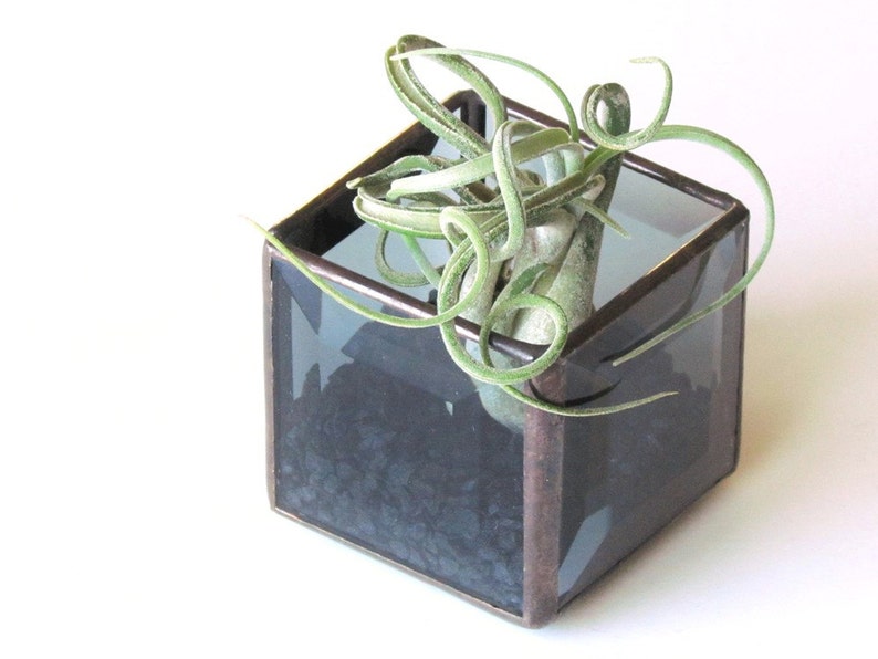 Air Plant Holder, Smoky Gray Beveled Stained Glass Terrarium, Grey Cubed Glass Box Planter, Handcrafted in Canada image 2