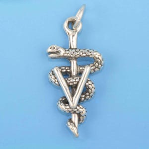 Veterinarian Doctor Vet Doc Caduceus 925 Sterling Silver Charm for Bracelet, Veterinary Asclepius Staff Sign Silver Pendant for Necklace