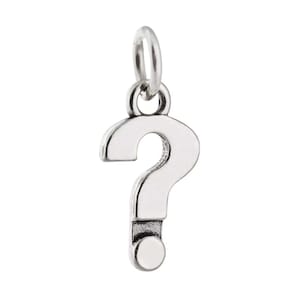 Op de afbeelding: Een zilverkleurige metalen bedel in de vorm van een vraagteken. De bedel heeft een glad, gebogen bovendeel en een cirkelvormige stip aan de onderkant. Aan de bovenkant van het vraagteken zit een klein, rond ringetje voor bevestiging.