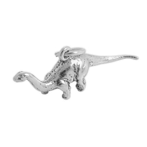 Puede incluir: Un dije de dinosaurio plateado con un lazo para sujetarlo a un collar o pulsera. El dije presenta una superficie detallada y texturizada, con un cuello y cola largos, que se asemejan a un Brontosaurus.