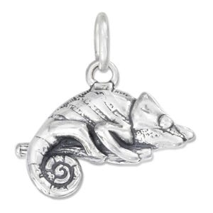 May include: A silver chameleon charm, curled around a branch, with a loop for attaching to a chain. The charm is detailed, showing the texture of the chameleon's skin and the curl of its tail. A small, decorative piece.