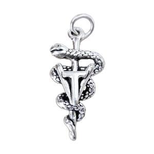 Veterinarian Technician Vet Tech Caduceus 925 Sterling Silver Charm for Bracelet, Veterinary Asclepius Staff Sign Silver Pendant