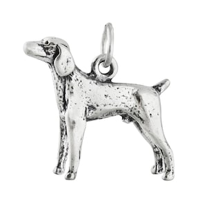 May include: A silver-colored dog charm with a textured surface. The charm is in a standing position, with a loop at the top for attaching to a necklace or bracelet. The dog's features are detailed, including its ears, tail, and legs.