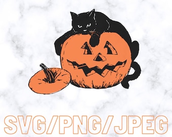 Black Cat Pumpkin Vintage Halloween Clipart Art Design Digital File Instant Download SVG PNG JPeg