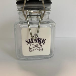 Shark Tooth Storage Jar