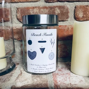 May include: A clear glass jar with a silver lid, labeled "Beach Fossils." The label features illustrations of various fossils, including a shark vertebra, stingray mouth plate, and shark tooth. The jar is displayed against a brick wall.