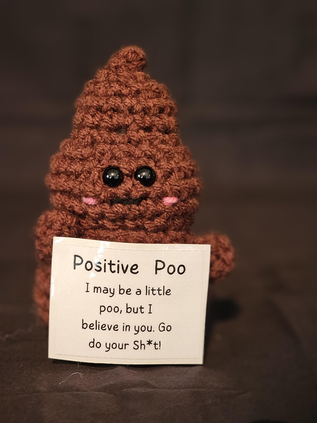 Positive Poop Desk Decor - Motivational Crochet Gift - Etsy