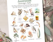 Australian Scavenger Hunt, Holiday Travel Activity Printable, Scavenger Hunt Games for Children, Preschool Outdoor Activity, Outdoor Game