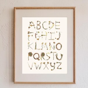 Op de afbeelding: Een ingelijst afdruk van het alfabet, waarbij elke letter is gevormd uit geperste bloemen en bladeren. De letters zijn gerangschikt in rijen, waarbij de eerste rij A-E is, de tweede rij F-J, enzovoort.