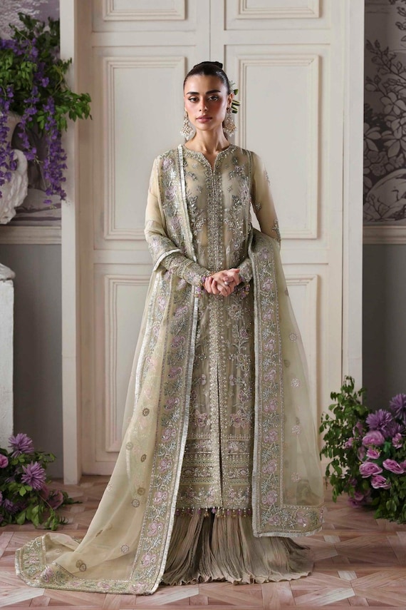 organza dresses indian Buy Pastel Organza Indian Dresses Online for Women in USA