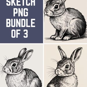 Minimalist Rabbit Art - Black & White AI Sketch Bundle (3 PNGs)