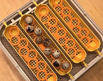 Maticoopx 20 Plateaux adaptateur pour oeufs de caille