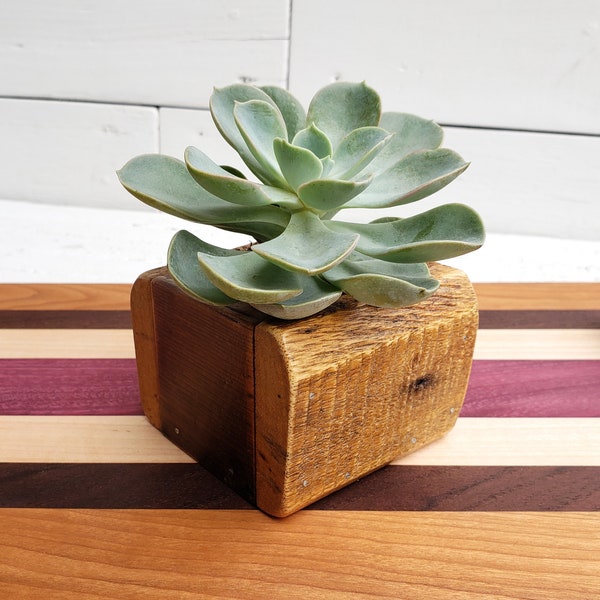 Rustic Reclaimed Wood Succulent Planter Box / Rounded Oak Pallet Wood Boards / For 2.5 or 2 inch Succulents