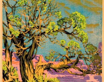 Gustave Baumann Cedar Grand Canyon Print: Fine Art Paper