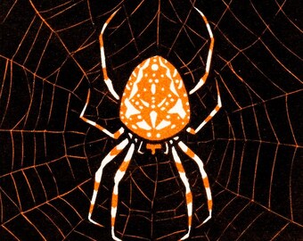 Spider in a Web Art Print: Julie de Graag Fine Art