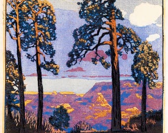 Grand Canyon Print by Gustave Baumann: Vintage Pines Fine Art