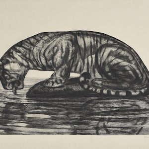 Paul Jouve Tiger Art Print: Vintage Fine Art