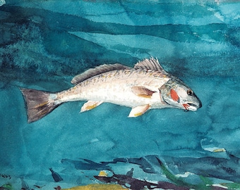 Winslow Homer: Channel Bass Fine Art Print