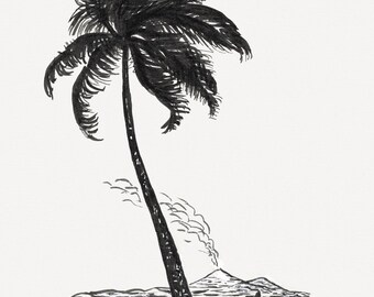 Palm Tree with an Island by Leo Gestel - Premium Fine Art Print