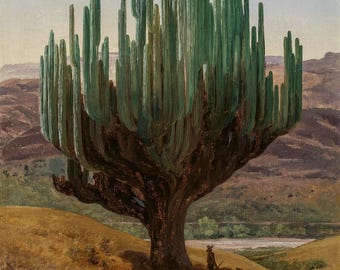 Cardón Cactus Fine Art Print: Oaxaca Landscape by Velasco