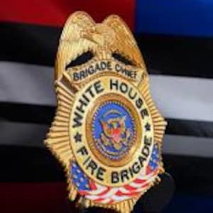 May include: A gold-toned metal badge featuring an eagle at the top, with the text "BRIGADE CHIEF" and "WHITE HOUSE FIRE BRIGADE" engraved around a central circular emblem displaying the Great Seal of the United States and American flag accents.