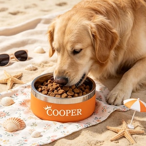 May include: An orange dog bowl with a silver rim, filled with dog food, sits on a floral blanket on the beach. The bowl is personalized with the name "COOPER" and a crown graphic. A golden retriever eats from the bowl, with sunglasses and seashells nearby.