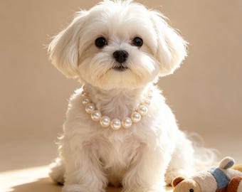 エレガントなパールペット用首輪ネックレス、クラシックな滑らかなパールの猫犬用首輪、子猫や子犬への結婚式写真撮影用アクセサリーギフト
