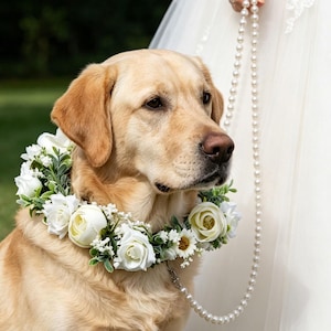 Halsband hund blumen - Etsy sterreich