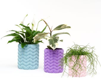 May include: Three potted plants in textured ceramic pots. The pots are light blue, purple, and pink. The plants are a peace lily, a ficus, and a string of pearls.