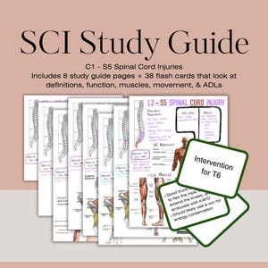 脊髄損傷学習ガイド 即時ダウンロード 印刷可能 8 ページ C1-S5 をカバー 38 枚のフラッシュ カード 動作、筋肉、ADL などを含む