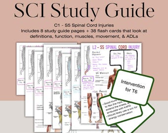 May include: A study guide for spinal cord injuries, with illustrations of the spine and muscles. The guide includes 8 study pages and 38 flash cards. The text on the flash card reads "Intervention for T6: Good trunk to flex the hips, extend the knees, and ambulate with KAFO. Would likely use a wic for energy conservation."