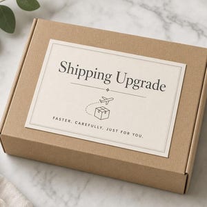 May include: A rectangular brown cardboard box with a white label on top. The label features the text Shipping Upgrade, a small airplane icon, a box icon, and the text FASTER. CAREFULLY. JUST FOR YOU. in a clean, dark font.