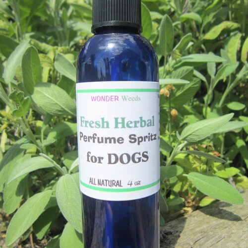 DOG Perfume Spray ALL Natural Choose Your Scent Etsy