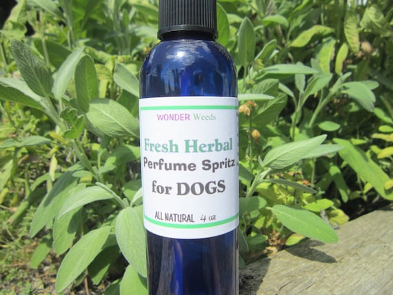 all natural dog perfume